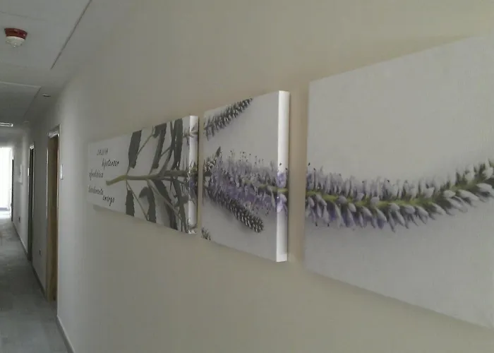 Resort Balneario El Raposo Puebla de Sancho Pérez